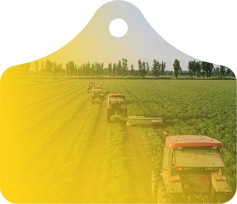 pp电子·模拟器(试玩游戏)官方网站