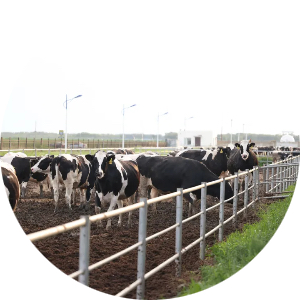 pp电子·模拟器(试玩游戏)官方网站