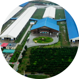 pp电子·模拟器(试玩游戏)官方网站