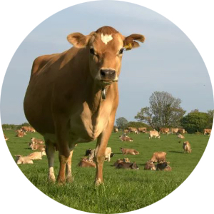 pp电子·模拟器(试玩游戏)官方网站