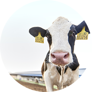 pp电子·模拟器(试玩游戏)官方网站