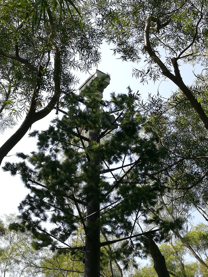 福州马尾区森林防火预警系统工程